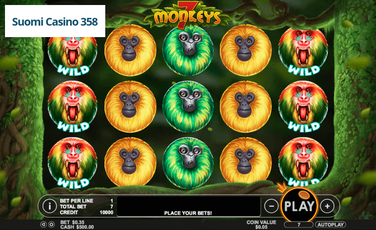 7 Monkeys