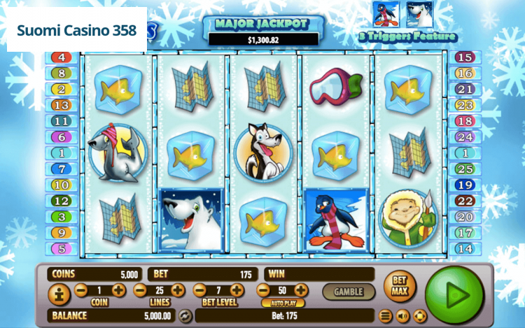 Arctic Wonders