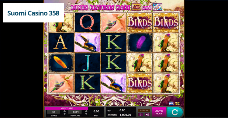 Birds of Wonder