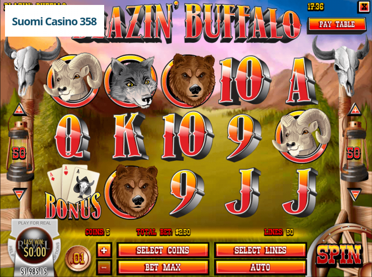 Blazin’ Buffalo