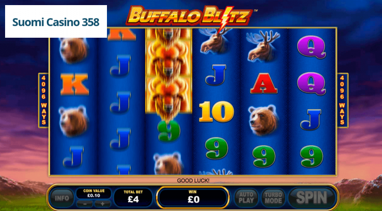 Buffalo Blitz