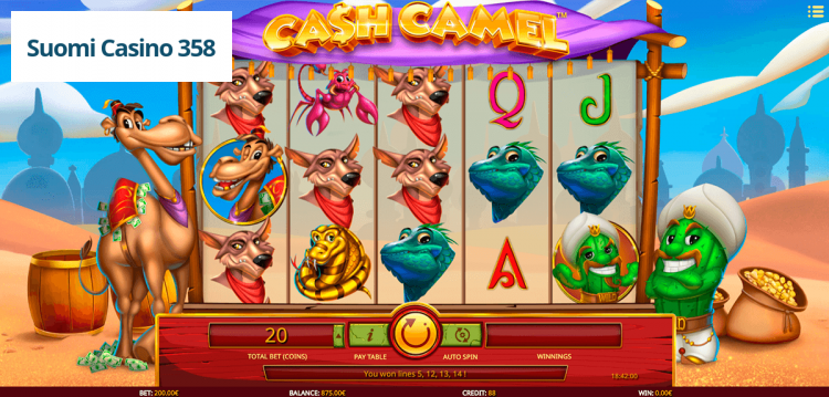 Cash Camel