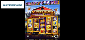 Crazy Goose