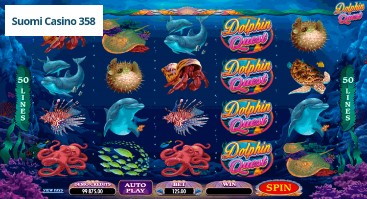 Dolphin Quest