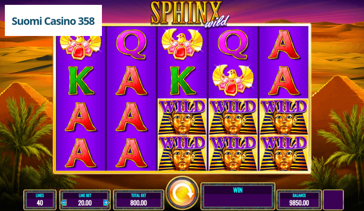 Sphinx Wild