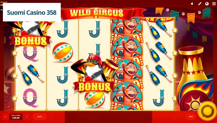 Wild Circus