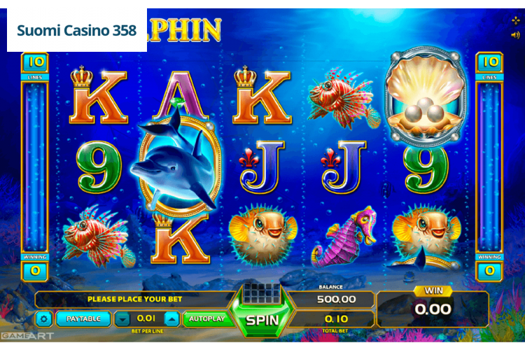 Wild Dolphin