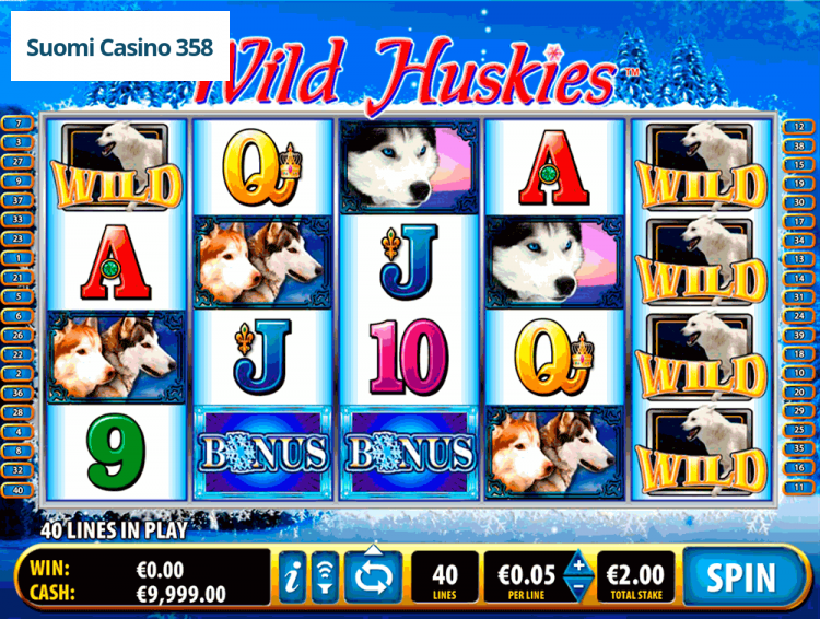 Wild Huskies